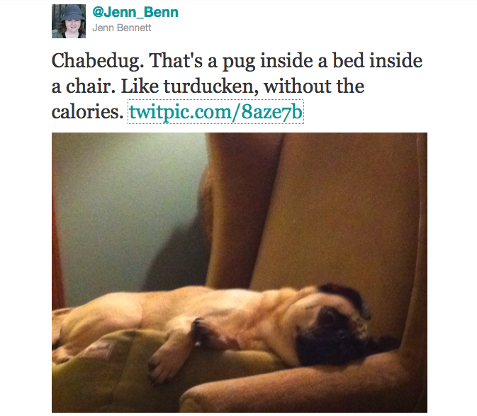 Chabedug (sleepy pug)